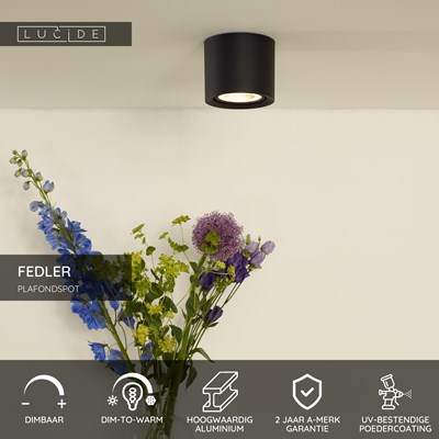 Lucide FEDLER - Plafondspot - Ø 12 cm - LED Dim to warm - GU10 (ES111) - 1x12W 2200K/3000K - Zwart